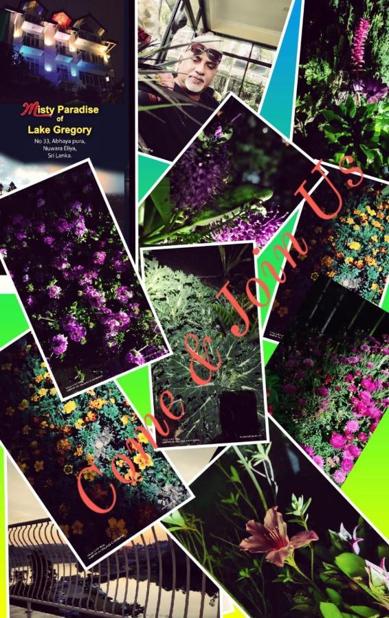 נוארה אליה Misty Paradise Of Lake Gregory מראה חיצוני תמונה